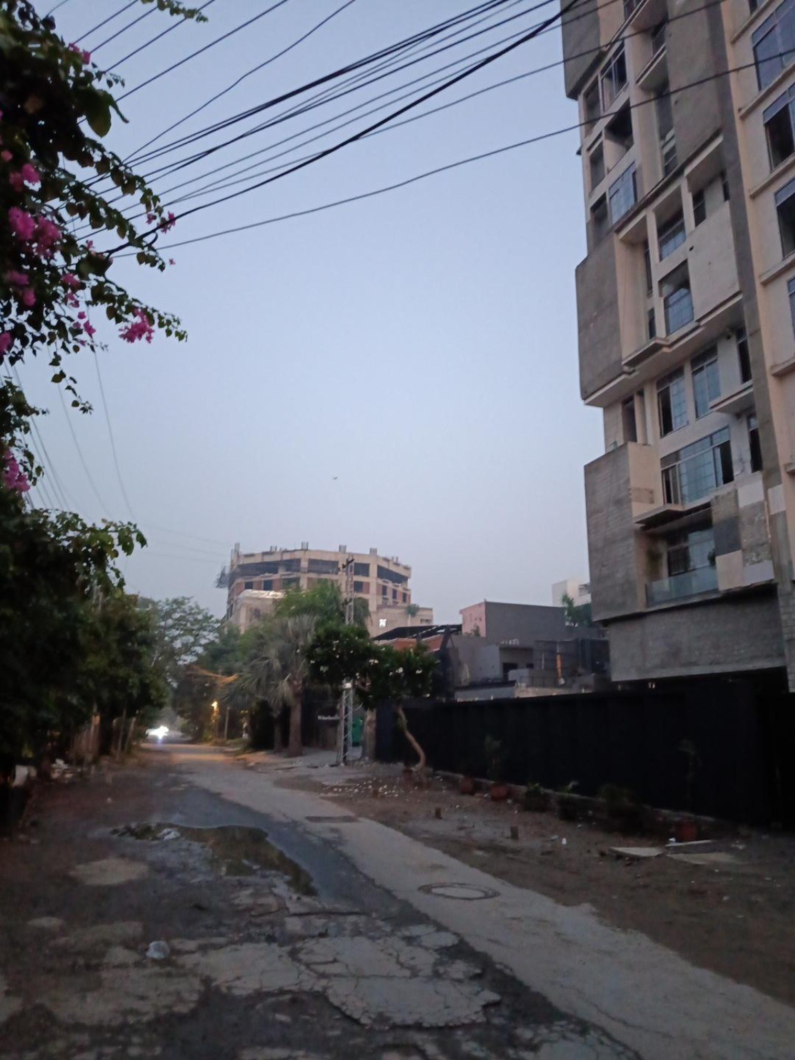Residential street with trees, construction and utility infrastructure